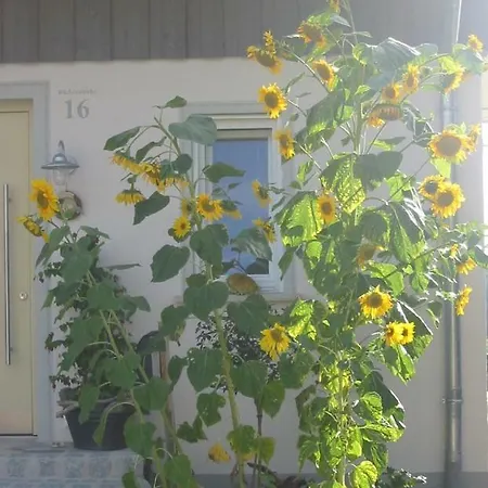 Am Obstgarten